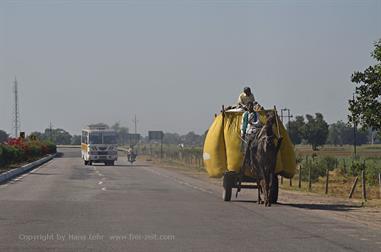 01 PKW-Reise_Jaipur-Fatehpur_Sikri_DSC5417_b_H600